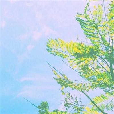 太乙阴阳诀手游下载